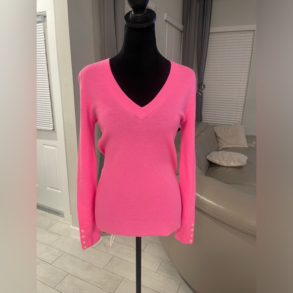 NWT Banana Republic V-neck Merino Wool Sweater Sz MP